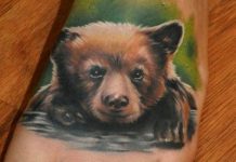 Medve tetoválás